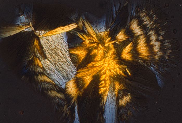 Kristallaufnahme von Ammoniumdichromat & Oxalsure