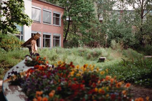 Wassergarten nach dem Umbau