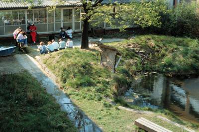 Wassergarten im Frhjahr