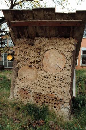 Bienenwand nach der Fertigstellung