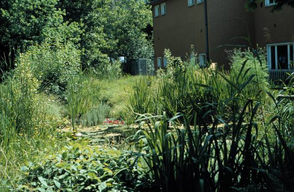 Blick zum Eingang des Wassergarten