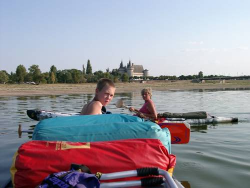 Das Chteau von Sully-sur-Loire, links der Campingplatz