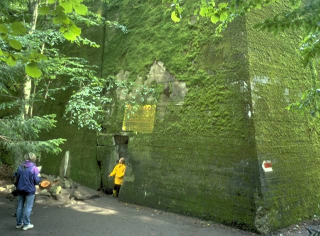 Bunker der Wolfsschanze