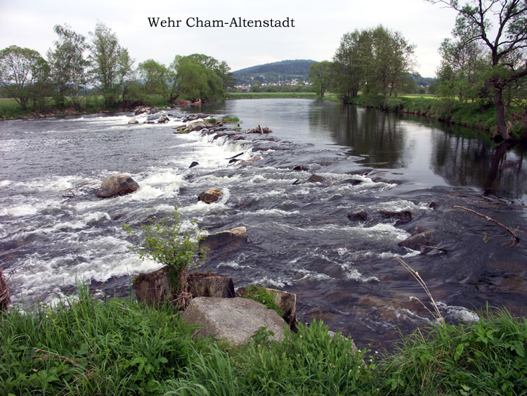 Wehr Cham-Altenstadt