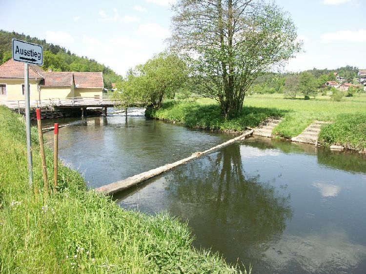 Wehr Reichenbach durch Baumstamm versperrt
