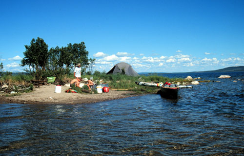 Jahrhundertsommer in Lappland