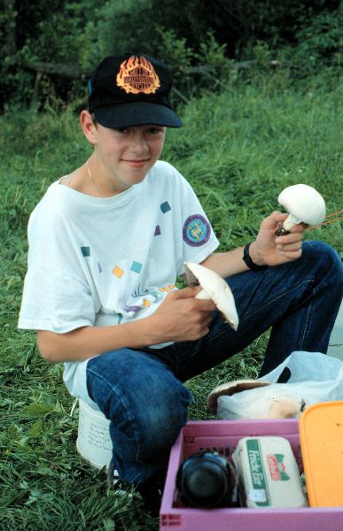 Sascha und die Wiesenchampignons