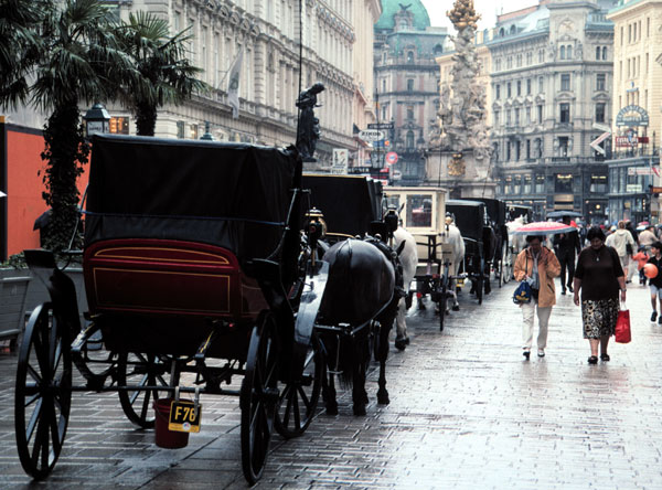 Fiaker im Wiener Regen