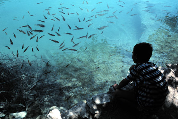 Fische und Arian am Ufer des Jezero Kozjak (Kozjaksee)