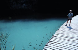 Fische im Nationalpark Plitvicer Seen