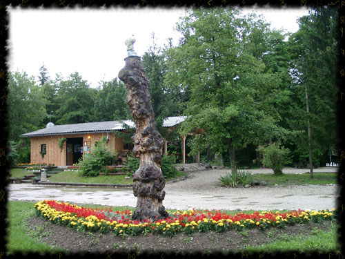 Camp Menina
