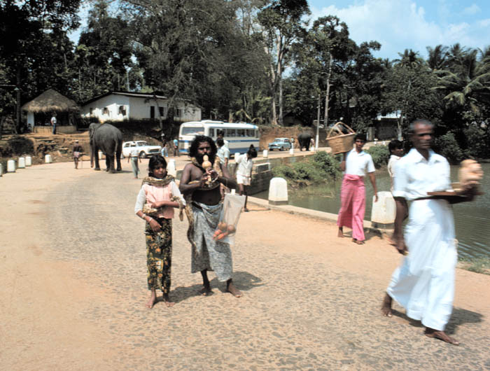 Schlangenbeschwrer mit seiner Tochter in Kandy