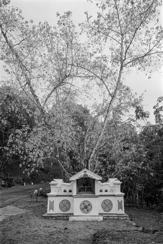 heiliger Baum